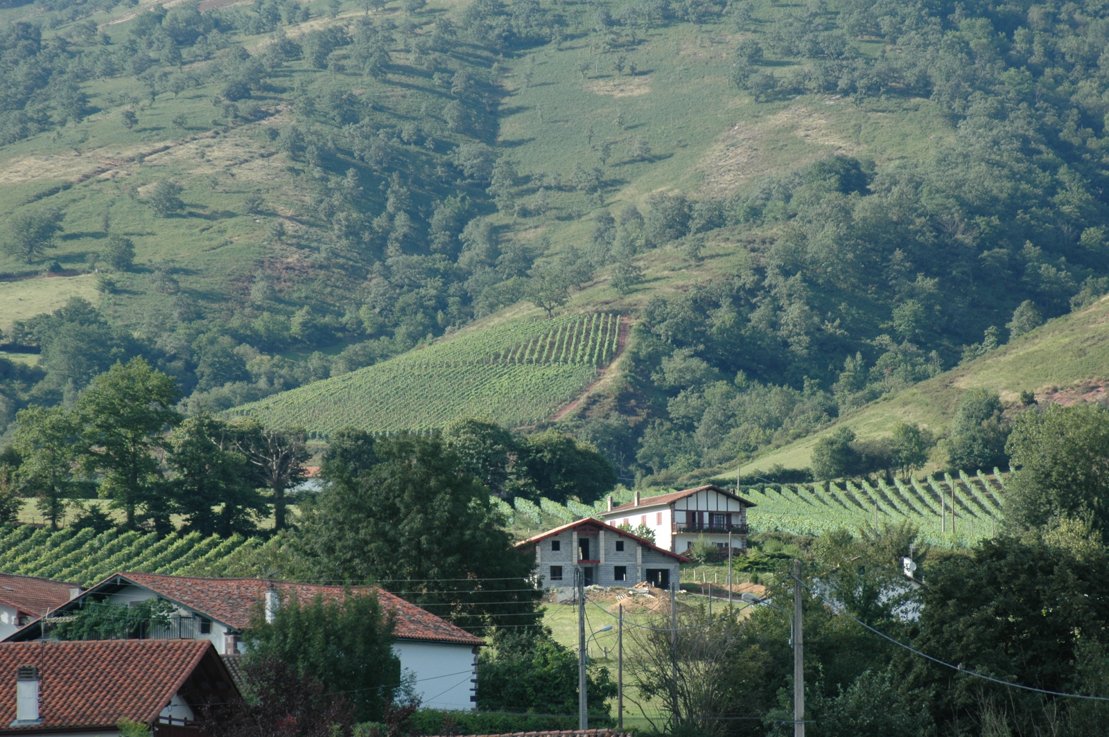 Domaine Arretxea
